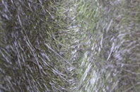 Boughton Lees fibreglass roof work